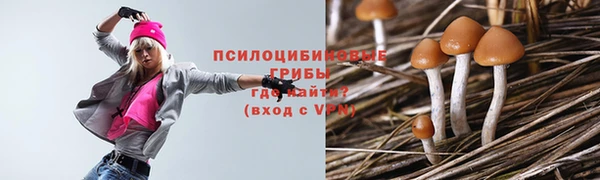 стаф Армянск